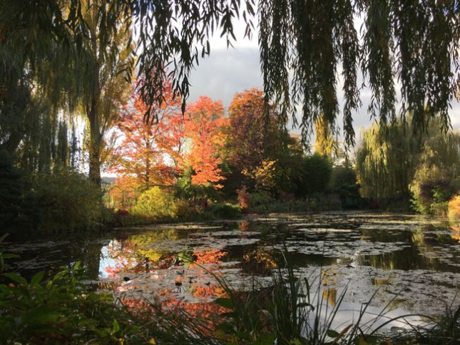 Giverny-in-the-Fall