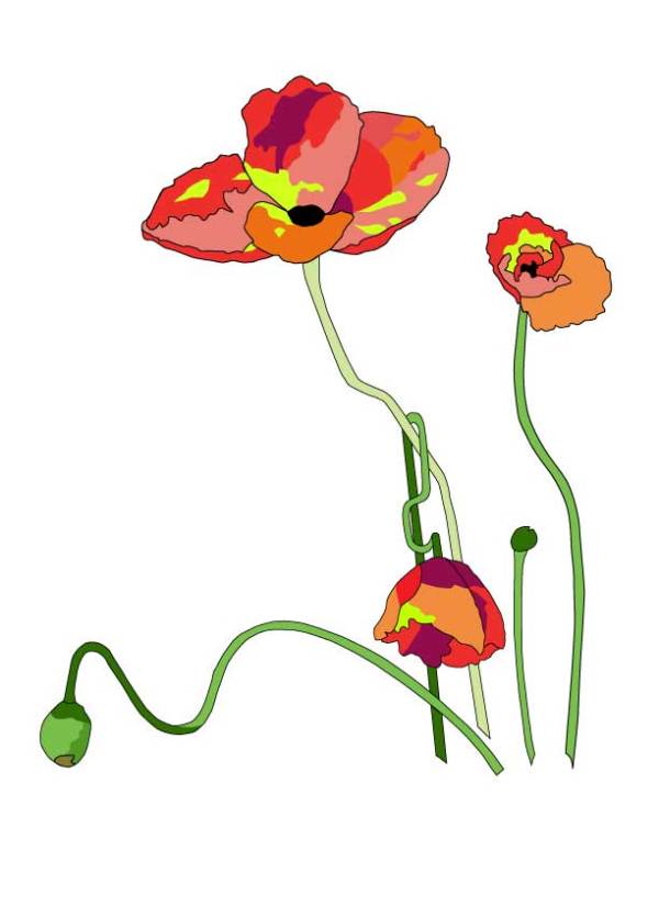 poppies1_042316